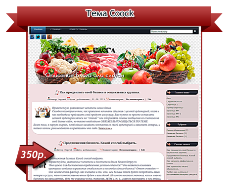 Шаблон wordpress на русском «Сoock»