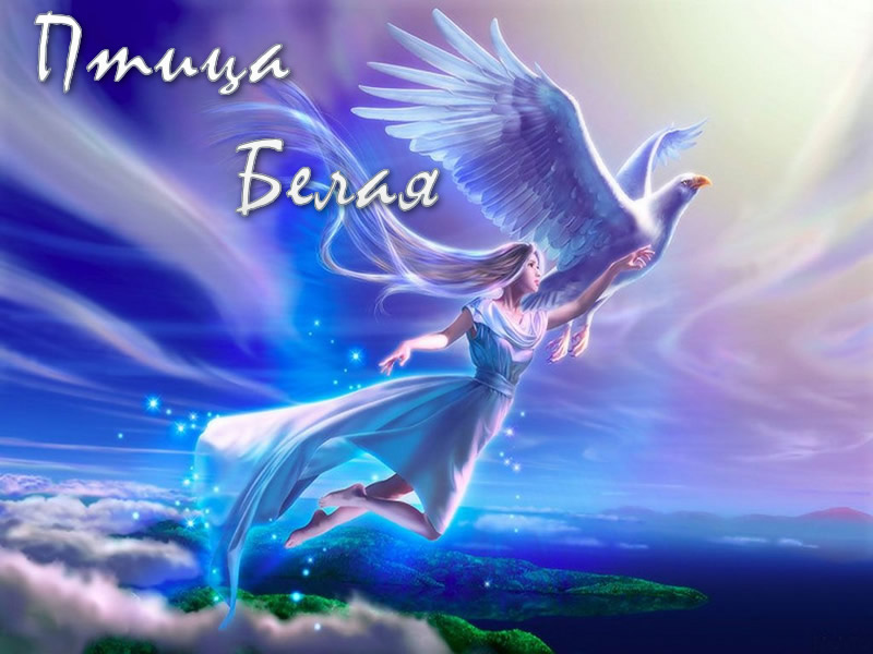 Авторские стихи на песню Белая птица