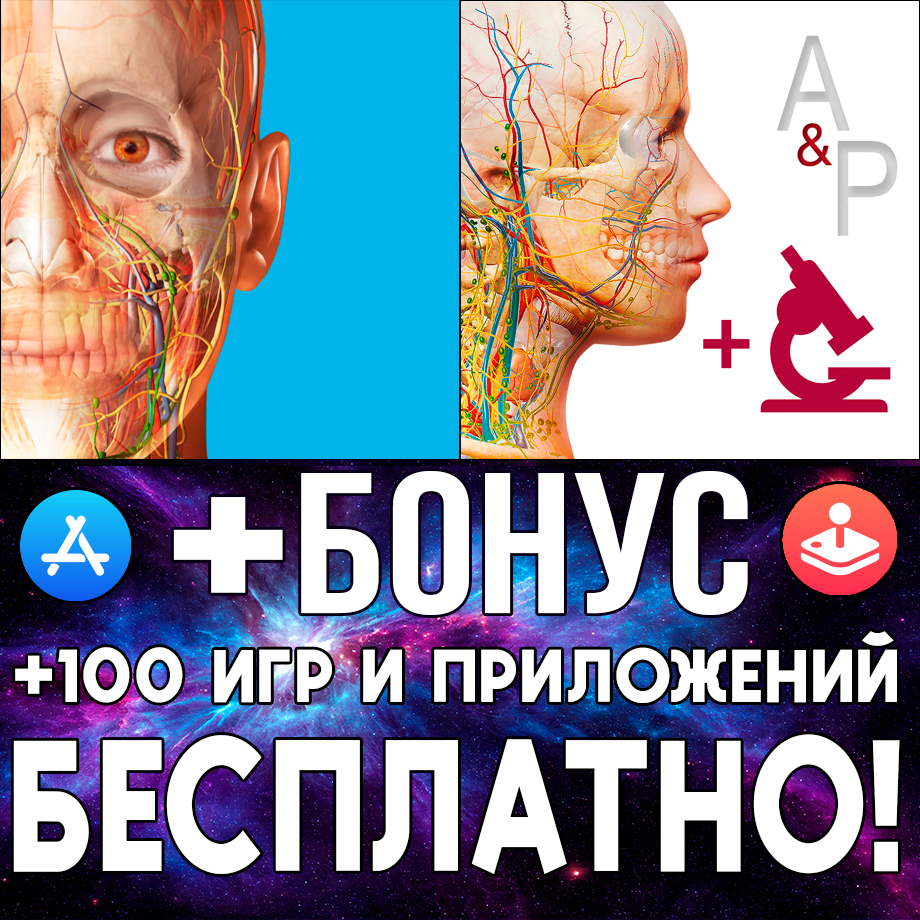 Buy Human Anatomy Atlas 2024 Anatomy & Physiology AppStore cheap