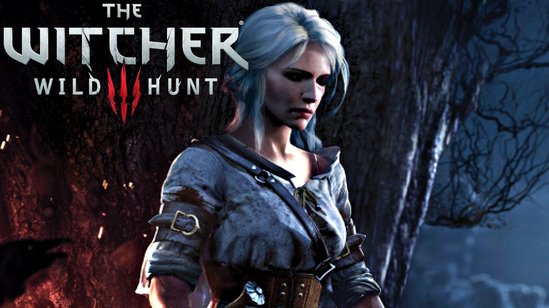 The witcher 3 goty фото 94