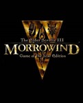 🔶The Elder Scrolls III:Morrowind GOTY Оригинальный