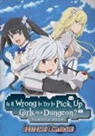 *Is It Wrong to Try to Pick Up Girls in |(Глобал)Steam
