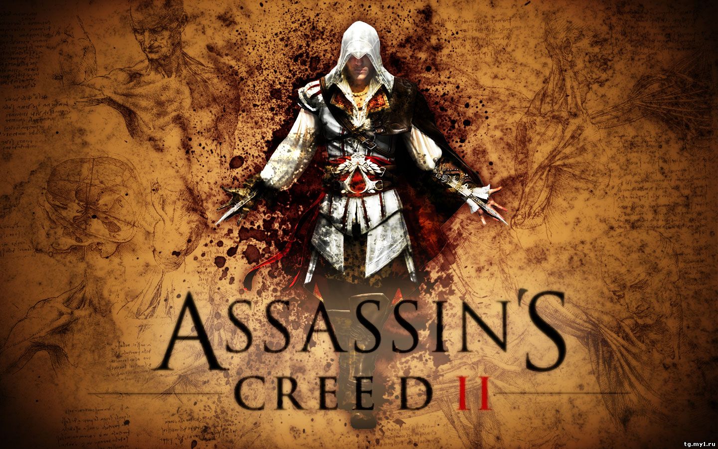 Steam assassin creed 2 deluxe фото 95