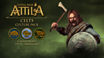 Total War ATTILA: DLC Celts Culture +3Фракции +3Миссии