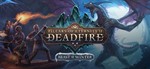 Pillars of Eternity II Deadfire Beast of Winter KEY DLC