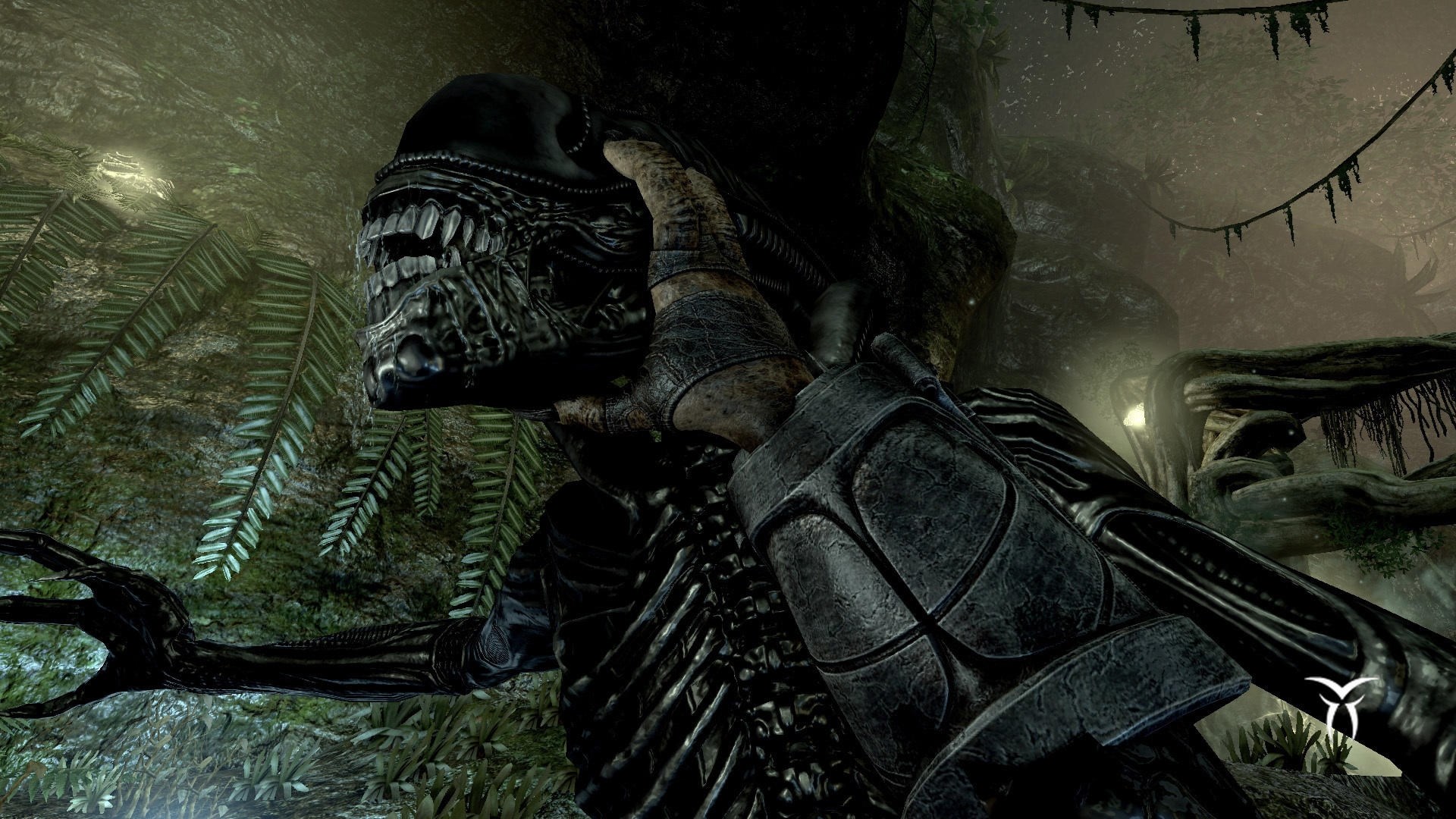 Alien vs predator collection steam фото 3