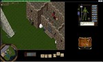 Ultima online - Олмер онлайн Власть