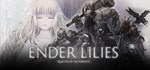 ENDER LILIES: Quietus of the Knights🎮Смена данных