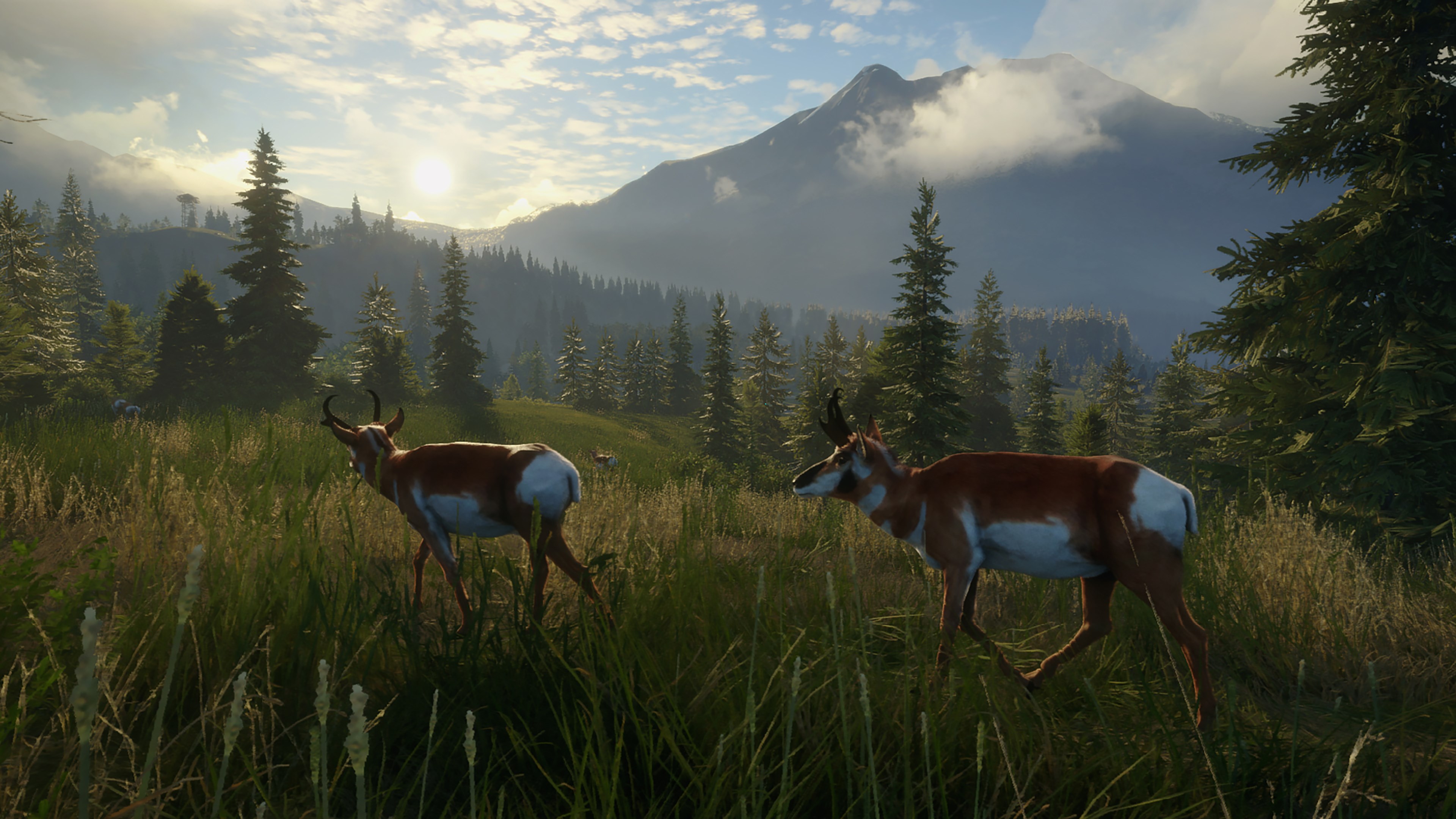 Зе хантер калов зе вайлд. THEHUNTER: Call of the Wild. Игра охота the Hunter Call of the Wild. Серебряные вершины the Hunter Call Wild. Орикс the Hunter Call of the Wild.