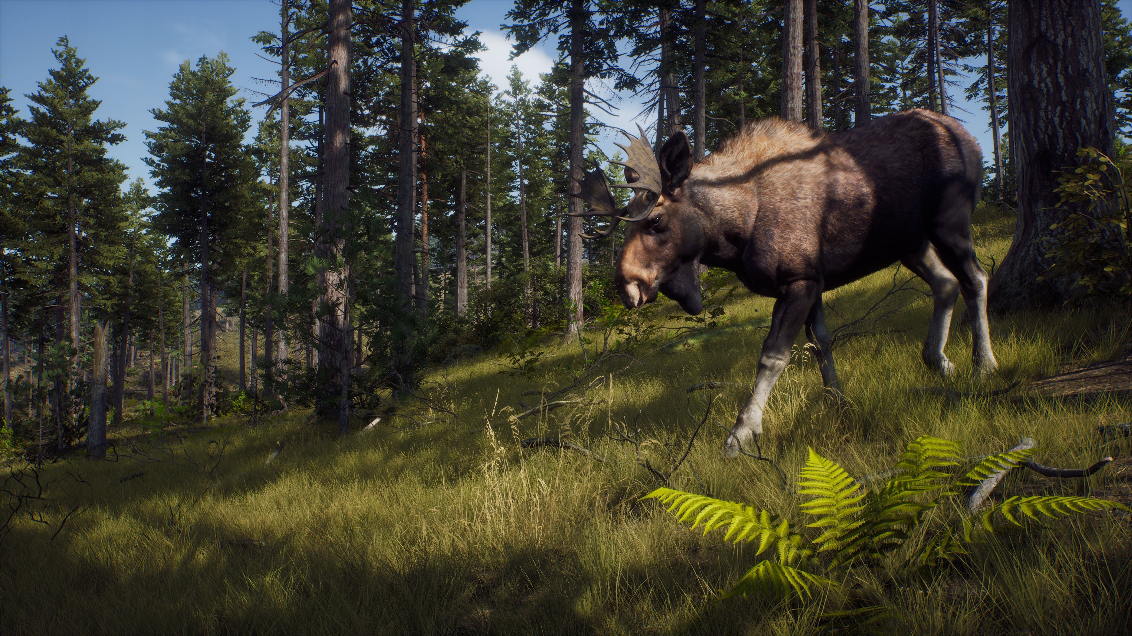 Hunter video game. Way of the Hunter игра. Way of the Hunter: Elite Edition. The Hunter Call of the Wild. Hunter 2022.