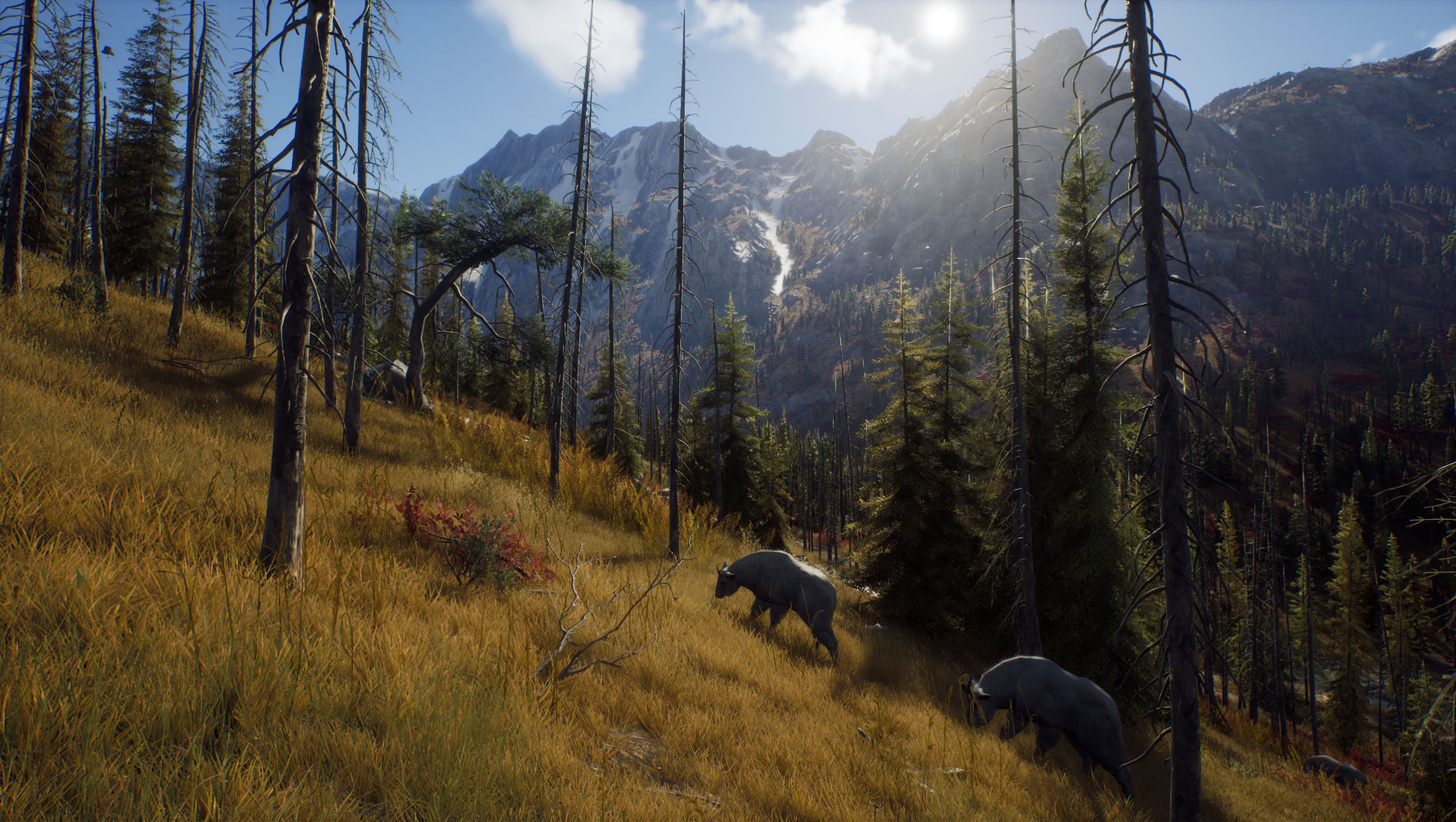 Hunter video game. Way of the Hunter: Elite Edition. Way of the Hunter 2022. Hunter игра. Hunter 2022 игра.