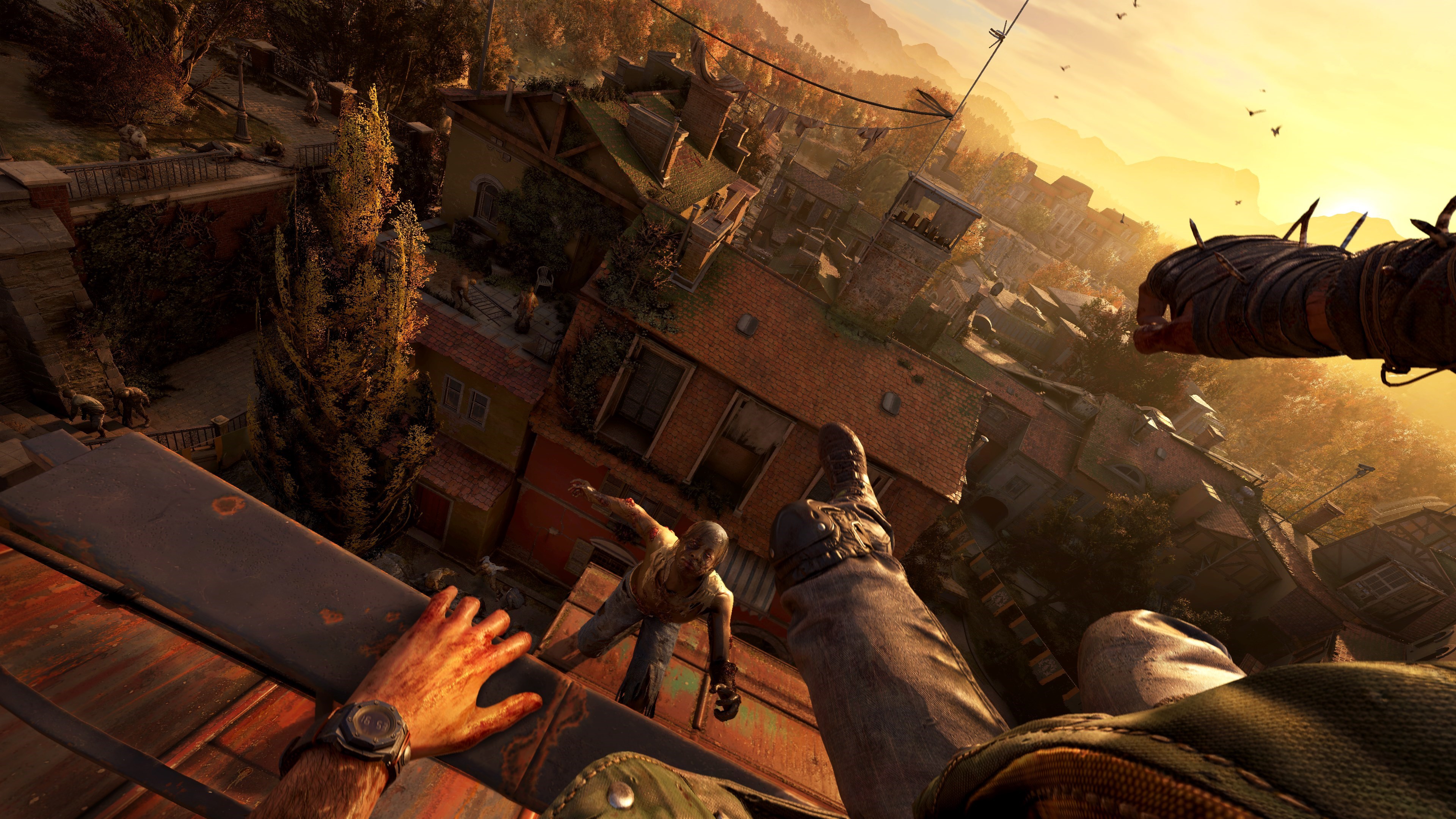 Dying Light: The Beast RL Definitive Edition XBOX SERIES S|X KEY photo 8