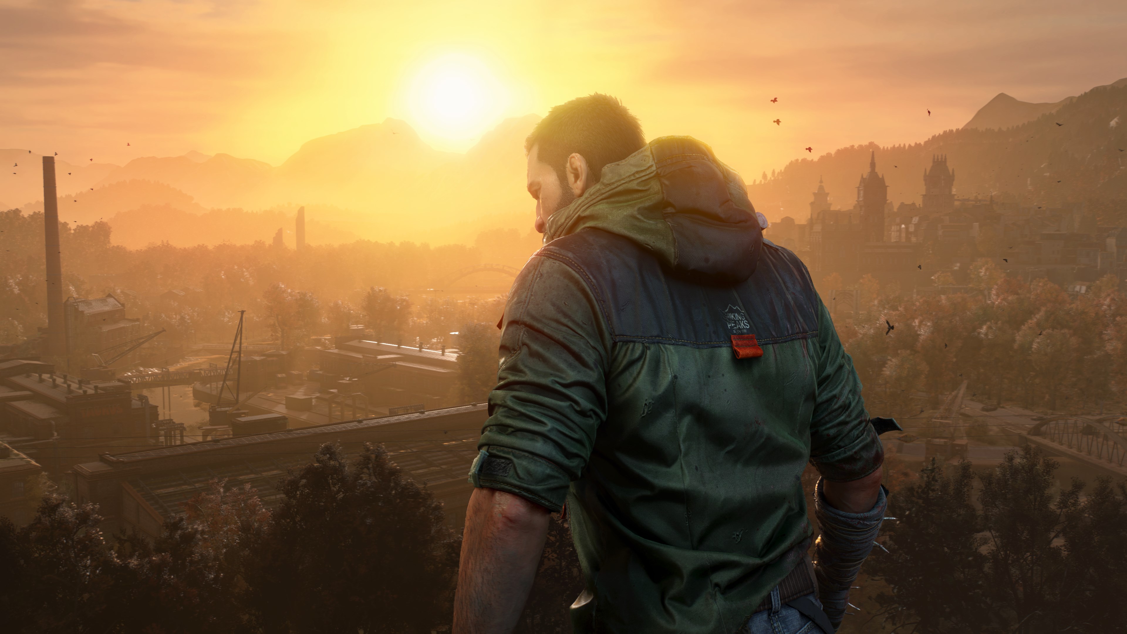 Dying Light: The Beast RL Definitive Edition XBOX SERIES S|X KEY photo 9