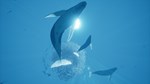 *ABZU*XBOX ONE/X|S*КЛЮЧ*