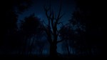 *SLENDER: THE ARRIVAL*(2023) XBOX SERIES X|S*КЛЮЧ*