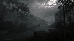 *STRAY SOULS*СРАЗУ*XBOX ONE/X|S*КЛЮЧ*