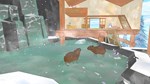 *CALICO*XBOX ONE/X|S*КЛЮЧ*