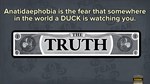 *FIBBAGE: THE HILARIOUS BLUFFING PARTY GAME*XBOX ***