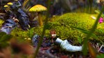 *ANTVENTOR*(PC WIN)*КЛЮЧ*