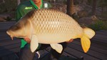 *FISHING SIM WORLD: PRO TOUR*XBOX ONE/X|S*КЛЮЧ*