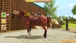 *MY LITTLE RIDING CHAMPION*XBOX ONE/X|S*КЛЮЧ*