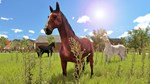 *MY LITTLE RIDING CHAMPION*XBOX ONE/X|S*КЛЮЧ*