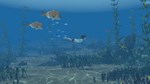*STORM BOY*XBOX ONE/X|S*КЛЮЧ*