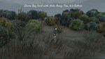 *STORM BOY*XBOX ONE/X|S*КЛЮЧ*