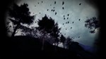*LIGHT & DARK BUNDLE*XBOX ONE/X|S*КЛЮЧ*