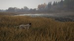 *THEHUNTER: CALL OF THE WILD - GERMAN SHORTHAIRED*XBOX