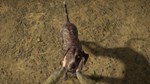 *THEHUNTER: CALL OF THE WILD - GERMAN SHORTHAIRED*XBOX