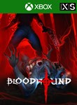 BLOODHOUND XBOX КЛЮЧ/КОД