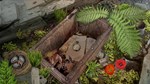 TIME TRAP: HIDDEN OBJECTS REMASTERED XBOX + PC (WIN) КЛ