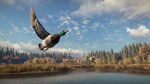 THEHUNTER: CALL OF THE WILD™ - WINDOWS 10 PC (WIN) КЛЮЧ