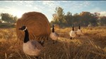 THEHUNTER: CALL OF THE WILD™ - WINDOWS 10 PC (WIN) КЛЮЧ
