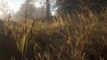 THEHUNTER: CALL OF THE WILD™ - WINDOWS 10 PC (WIN) КЛЮЧ