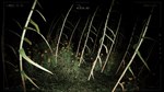 POMBERO: THE LORD OF THE NIGHT XBOX КЛЮЧ/КОД