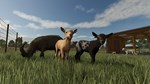 FARMING SIMULATOR 25 (PC) PC (WIN) КЛЮЧ/КОД