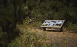 LUSHFOIL PHOTOGRAPHY SIM XBOX SERIES S|X КЛЮЧ/КОД