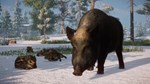 PLANET ZOO: НАБОР ЖИВОТНЫХ *ЕВРАЗИЯ* XBOX SERIES S|X КЛ