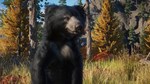 PLANET ZOO: НАБОР ЖИВОТНЫХ *ЕВРАЗИЯ* XBOX SERIES S|X КЛ