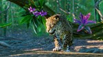 PLANET ZOO: НАБОР *ЮЖНАЯ АМЕРИКА* XBOX SERIES S|X КЛЮЧ/