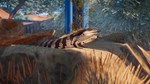 НАБОР *АВСТРАЛИЯ* ДЛЯ PLANET ZOO XBOX SERIES S|X КЛЮЧ/К
