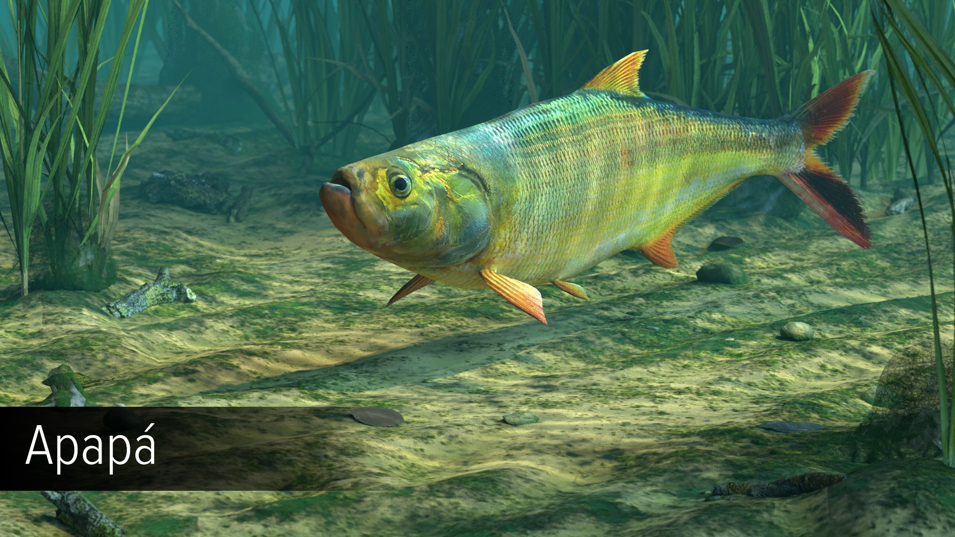 Ultimate Fishing Simulator VR - Amazon River DLC