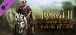 Total War: ROME II - Caesar in Gaul DLC * STEAM RU ⚡