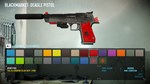 PAYDAY 2: Weapon Color Pack 1 DLC * STEAM RU *