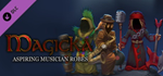 Magicka: Aspiring Musician Robes DLC * STEAM RU *