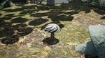 Bizarre Mushroom Cycle Simulator * STEAM RU *