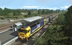 Trainz 2022 DLC - NSW 81 Class Pacific National Pack