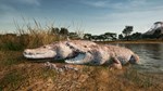 Animalia Skins Pack DLC * STEAM RU * АВТО *0%
